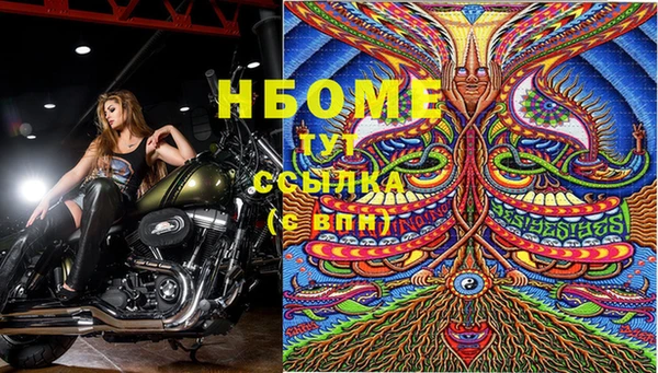 дмт Баксан
