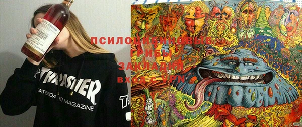 дмт Баксан