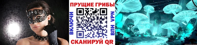 Псилоцибиновые грибы Magic Shrooms  наркота  Североморск 
